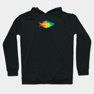 Rainbowfish Hoodie